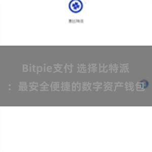 Bitpie支付 选择比特派：最安全便捷的数字资产钱包