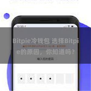 Bitpie冷钱包 选择Bitpie的原因，你知道吗？