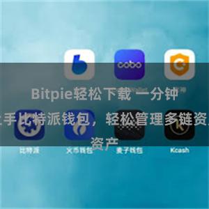 Bitpie轻松下载 一分钟上手比特派钱包，轻松管理多链资产