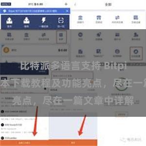 比特派多语言支持 Bitpie钱包最新版本下载教程及功能亮点，尽在一篇文章中详解