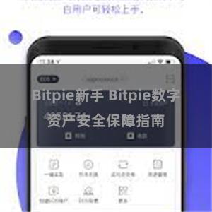 Bitpie新手 Bitpie数字资产安全保障指南