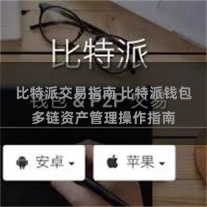 比特派交易指南 比特派钱包多链资产管理操作指南