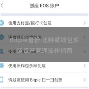 Bitpie备份 比特派钱包多链资产管理操作指南