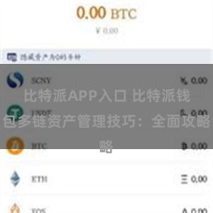 比特派APP入口 比特派钱包多链资产管理技巧：全面攻略