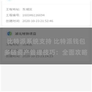 比特派系统支持 比特派钱包多链资产管理技巧：全面攻略