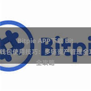 Bitpie APP下载 Bitpie钱包使用技巧：多链资产管理全攻略