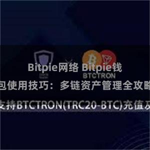 Bitpie网络 Bitpie钱包使用技巧：多链资产管理全攻略