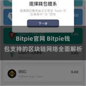 Bitpie官网 Bitpie钱包支持的区块链网络全面解析