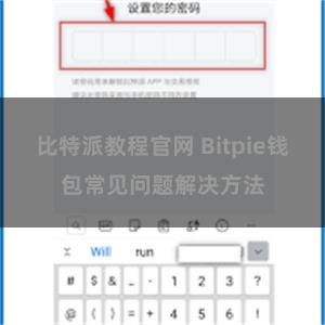 比特派教程官网 Bitpie钱包常见问题解决方法