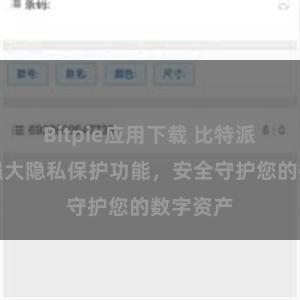 Bitpie应用下载 比特派钱包：强大隐私保护功能，安全守护您的数字资产