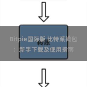 Bitpie国际版 比特派钱包：新手下载及使用指南