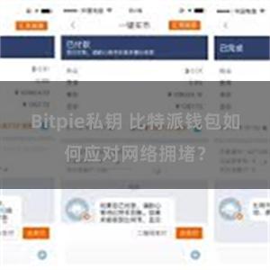 Bitpie私钥 比特派钱包如何应对网络拥堵？