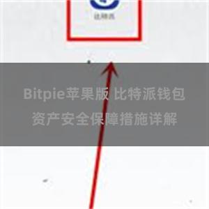 Bitpie苹果版 比特派钱包资产安全保障措施详解