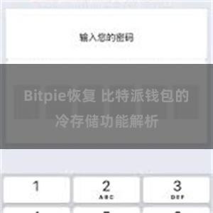 Bitpie恢复 比特派钱包的冷存储功能解析