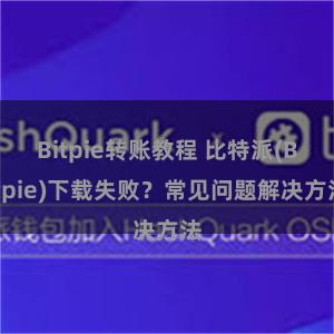 Bitpie转账教程 比特派(Bitpie)下载失败？常见问题解决方法
