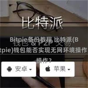Bitpie备份教程 比特派(Bitpie)钱包能否实现无网环境操作？