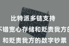 比特派多链支持 让用户不错宽心存储和贬责我方的数字钞票