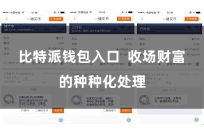 比特派钱包入口 收场财富的种种化处理