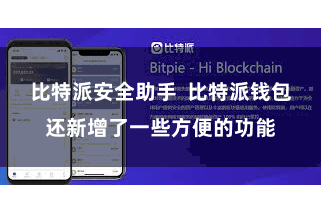 比特派安全助手  比特派钱包还新增了一些方便的功能