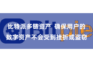 比特派多链资产 确保用户的数字资产不会受到挫折或盗窃