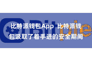 比特派钱包App  比特派钱包汲取了着手进的安全期间