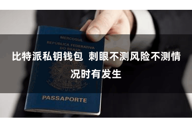 比特派私钥钱包  刺眼不测风险不测情况时有发生