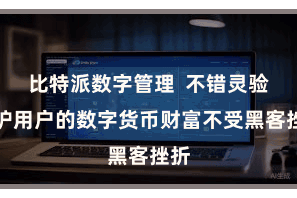 比特派数字管理  不错灵验保护用户的数字货币财富不受黑客挫折